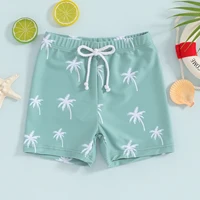 ma&baby 6M-4Y Newborn Infant Toddler Baby Boy Swimsuit Dinosaur Coconut tree Print Shorts Kid Swimwear Beachwear 5
