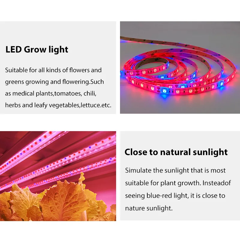 LED Plant Grow Strip lights Full Spectrum Flower phyto lamp Waterproof for Greenhouse Hydroponic Growth Light +Power adapter
