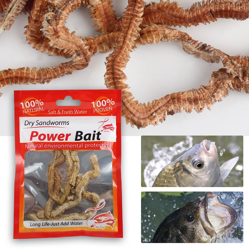 Lifelike Dry Lugworm Sandworms Fishing Lures Saltwater Freshwater Feeder Sea Fishing Worms Smell Soft Artificial Bait Accessorie 4