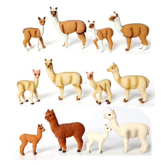 Alpaca Family, Patterns