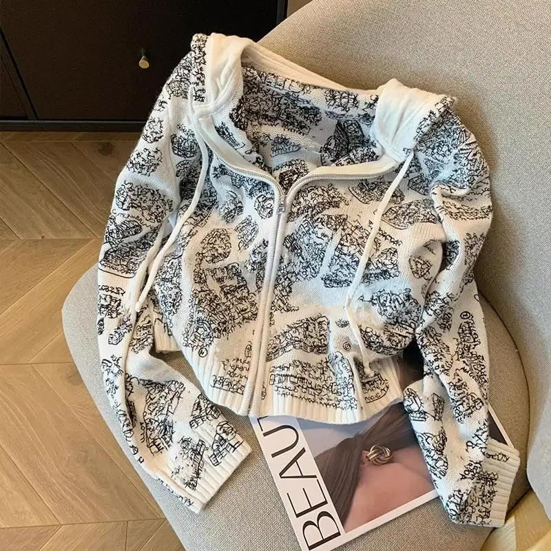 

Abstract Design Embroidered Drawstring Hooded Knitted Coat 2023 Autumn Women's Casual Korean Edition