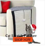 Cats Chew Toy Natural Catnip Matatabi Actinidia Silvervine Cleaning Teeth Toy Cat Snacks Sticks Remove Cat Tartar Home Toys