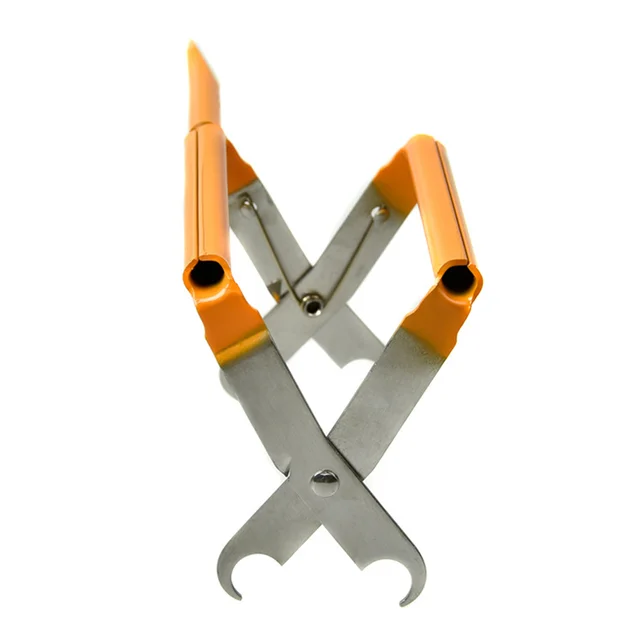 Méhészeti Keret Markolat Méhészek Szerszám Eszközök Méhsejt Apicultura Berendezések - Image 3