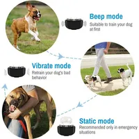 Remote Electric Dog Training & Anti-Bark Collar 3