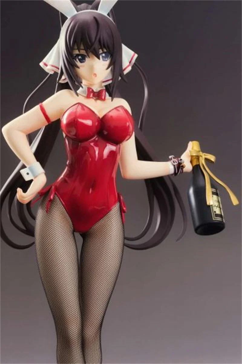 Dole Shinonono Houki Regular Version 「 IS <Infinite Stratos> 」 1/3 Hybrid  Active Figure No. 045, Toy Hobby