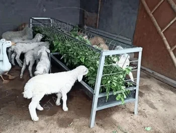 1m Length Feed Trough 7