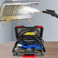 3500W Multi-function High Temperature Steam Cleaner for Kitchen Hood Car Air Conditioner Steam Cleaning Machine 1