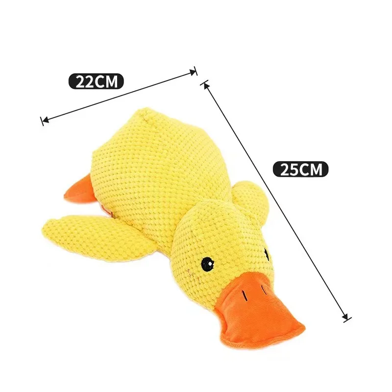 Small Duck