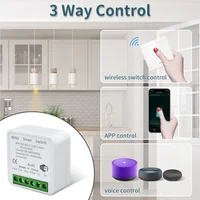 Wifi RF 433MHz Smart Switch Tuya Smart Life Remote Voice Control With Alexa Google Alice Wireless Wall Panel Switch Mini Module - Image 4