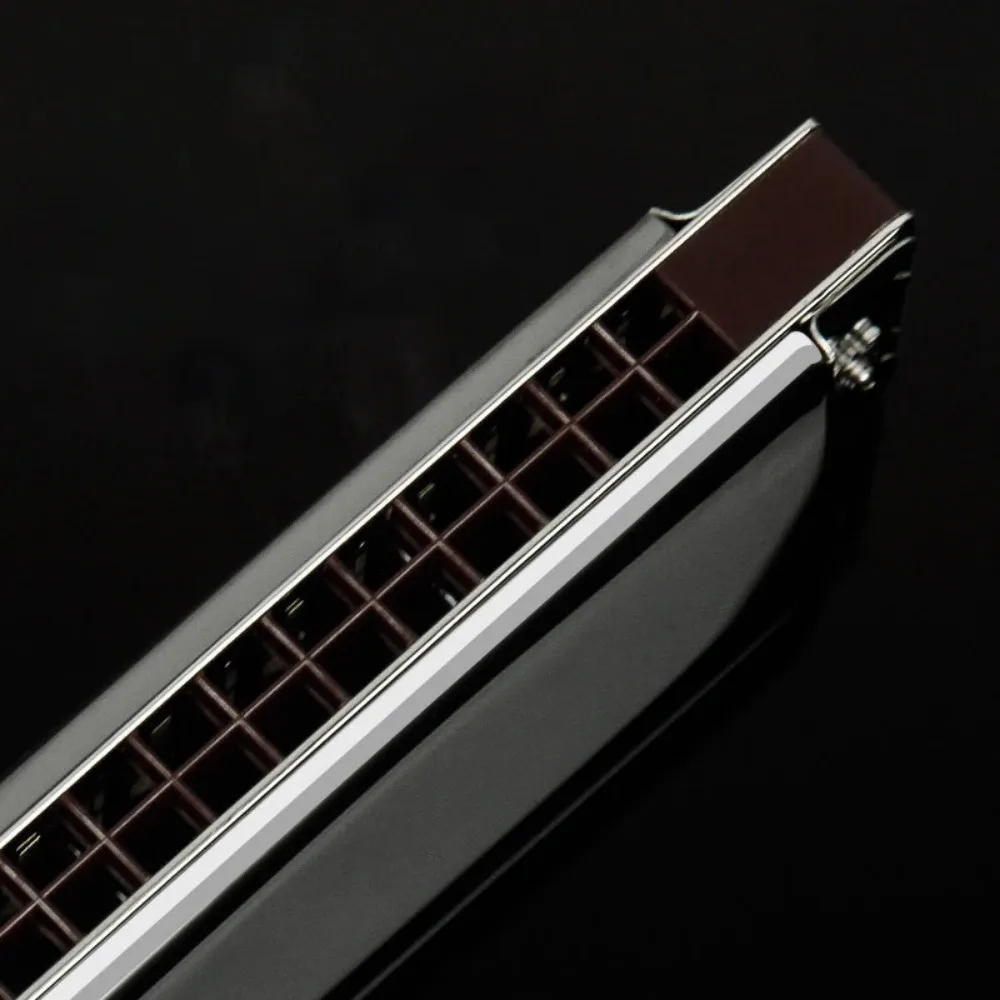 28 Holes Octave Tremolo Harmonica C Tunes Professional Mouth Harmonica Musical Instruments Adult Children Harp Mouth with Case