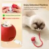 Super Deal Cat Interactive Ball Toy Automatic Rolling Ball with Tail Rechargeable Smart Pet Interactive Toy Intelligent Mouse 5