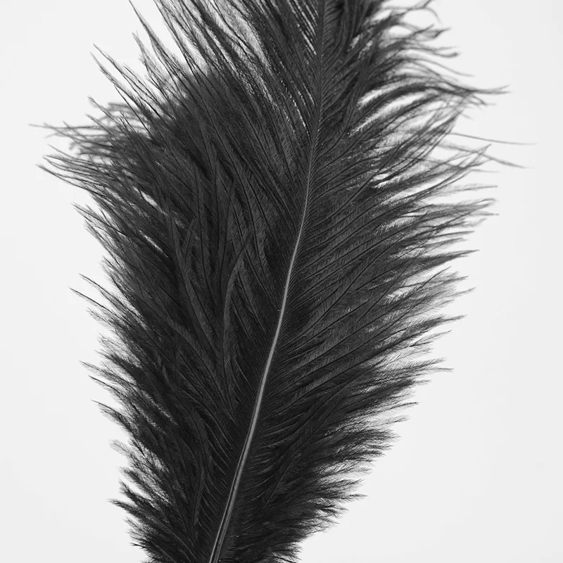 Flirt Whip Bird Feather Flogger Sex Toy Products Bondage Slave Clitoris Erotic for Couples Women Adult Games