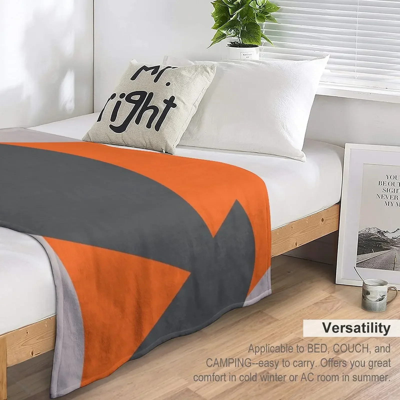 ������ �� �׷��� �ﰢ�� ������ ���, �غ� ���� ���