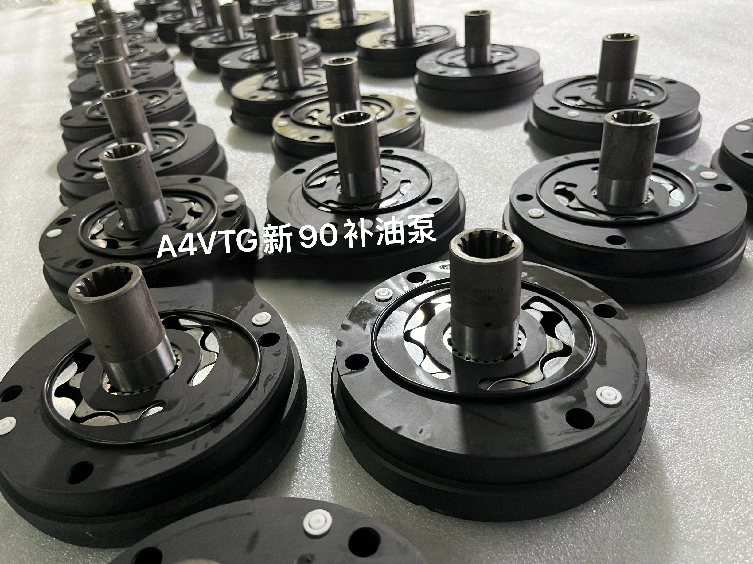

A4vtg90 Charge Pump T13