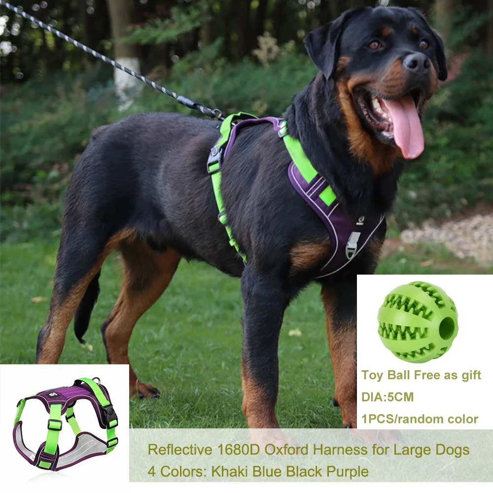 What Are The Best Leashes For Rottweiler Puppies