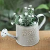 Creative Flower Vase Can Rustic Iron Metal Jug Pitcher Tin Bucket Watering Can Shape Portable Pot for Home Wedding Party Decor 1