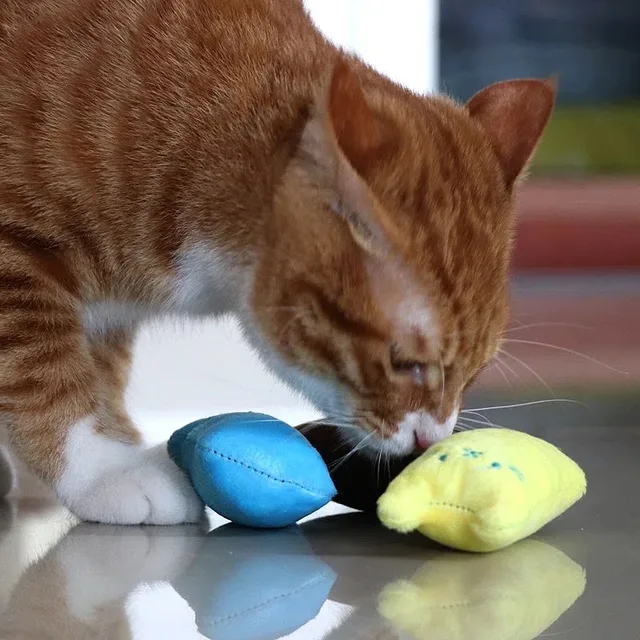Plush Rattle Cat Chew Toy 3