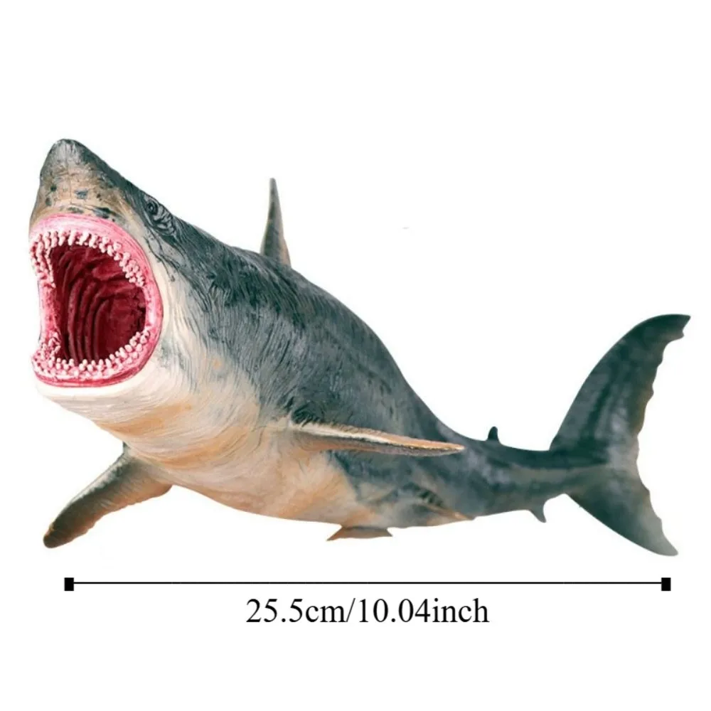 Plastic Sea Life Animals Model Handmad Realistic Ocean Animals Ornaments Statue Crafts Simulated Shark Decorations