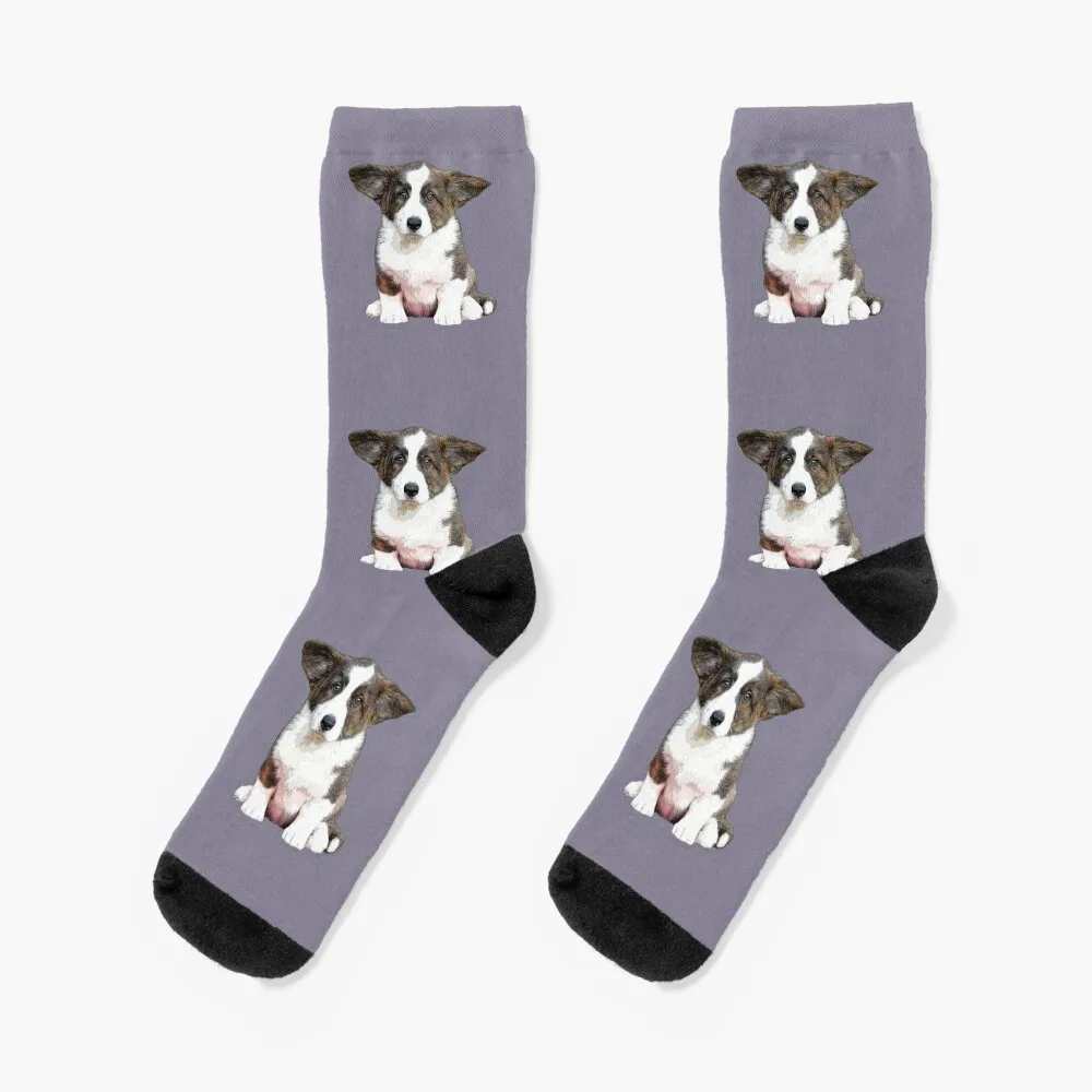 

Corgi Cardigan Welsh Corgi Brindle Puppy Dog Socks sports and leisure moving stockings cartoon Rugby Men's Socks Luxury Women's