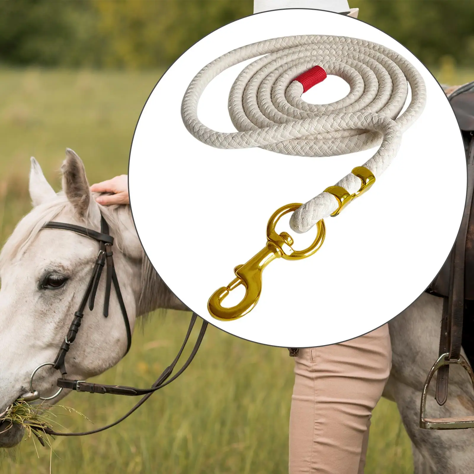 Horse Lead Rope for Leading Training Horse, Dog, or Sheep Heavy Duty Brass Plated Snap Horse Lunge Line Dog Horse Training Leash