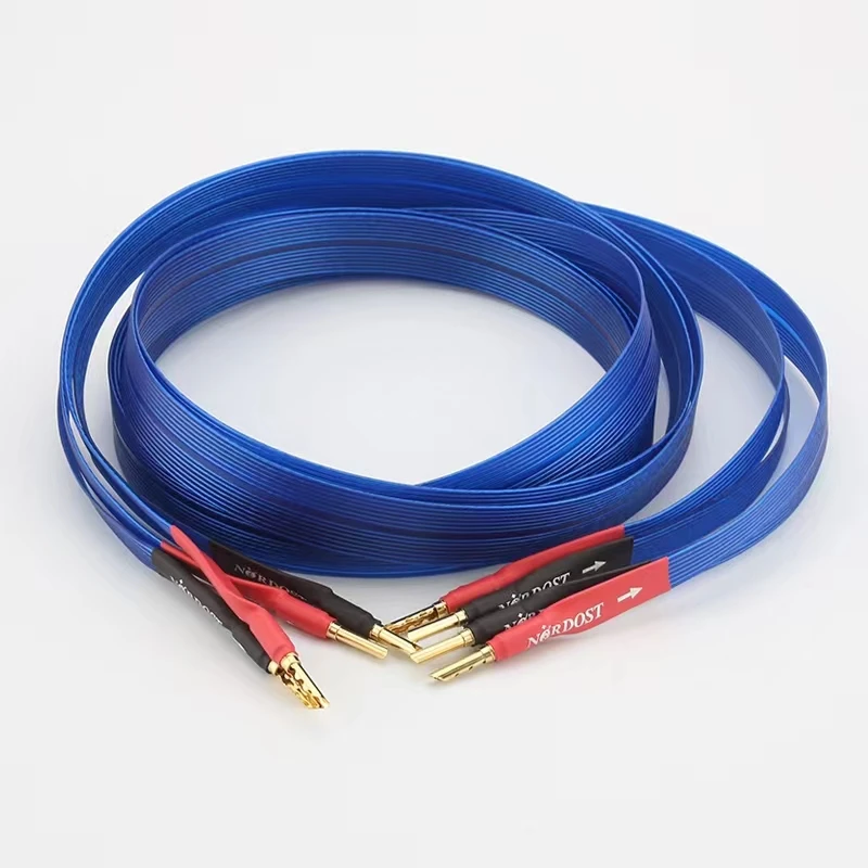 Cavo Dell'Altoparlante Cavo Dell'Altoparlante Ofc Placcato Argento Cavo Audio Hifi Piatto Cavo Audiofilo Per Amplificatore Dvd Cd