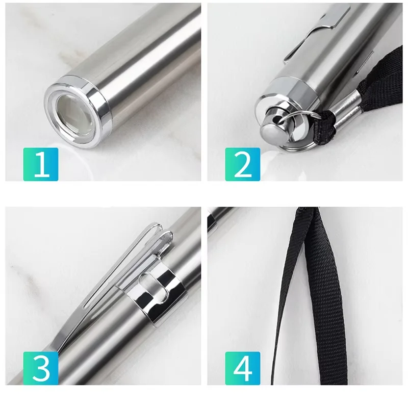 Stainless Steel White Light, Pet Incubation Observation Light, Night Travel Light Source, Easy to Carry, Replaceable Battery