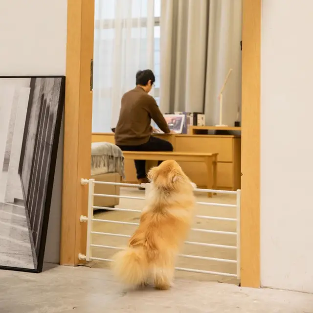Retractable Pet Playpen Fence Folding Barrier Indoor Pet Isolation Gate No Drilling Black/White Baby Safe Guard Door Balcony Retractable Pet Playpen Fence Folding Barrier Indoor Pet Isolation Gate No Drilling Black/White Baby Safe Guard Door Balcony