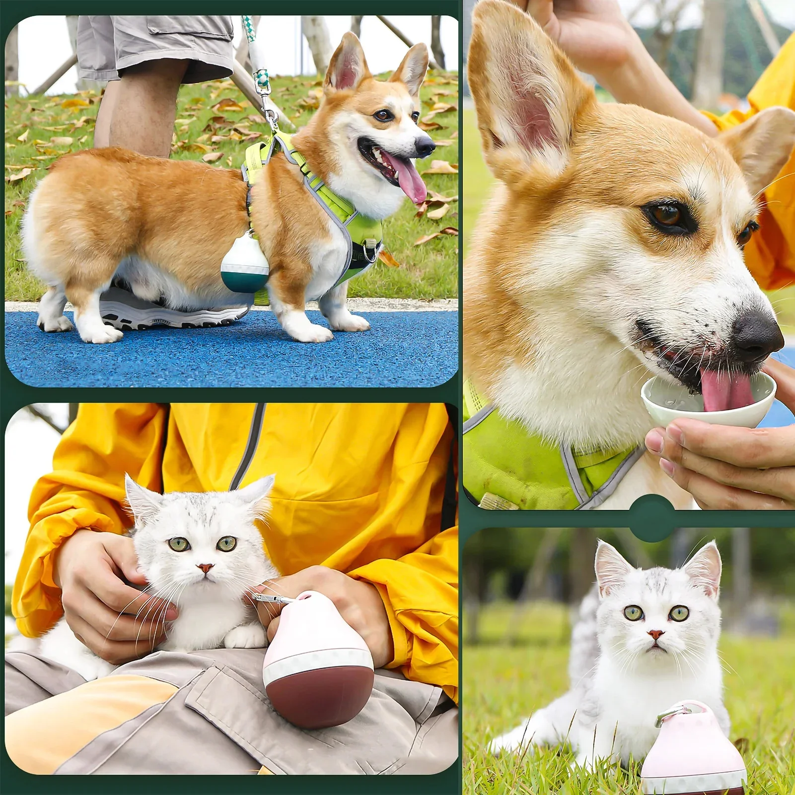 Foldable Dog Water Bottle 5