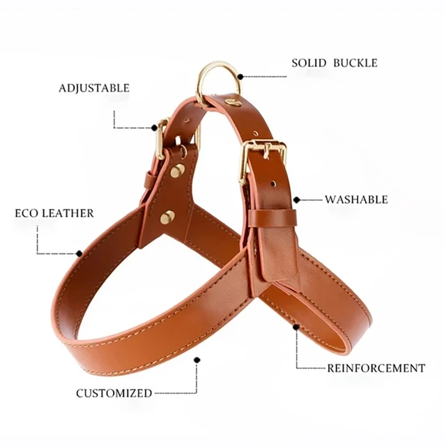 Leather Chest For Dog Harness Set with Leash For Chiens Small Medium Large Dogs Supplies Vest Walk Outdoor Pet Accessories Goods 2