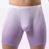 Mens Boxer Shorts Ice Silk Gradient Color Men Panties Seamless Sexy Underwear Man Underpants Panties Male Ultra-thin Breathable 5