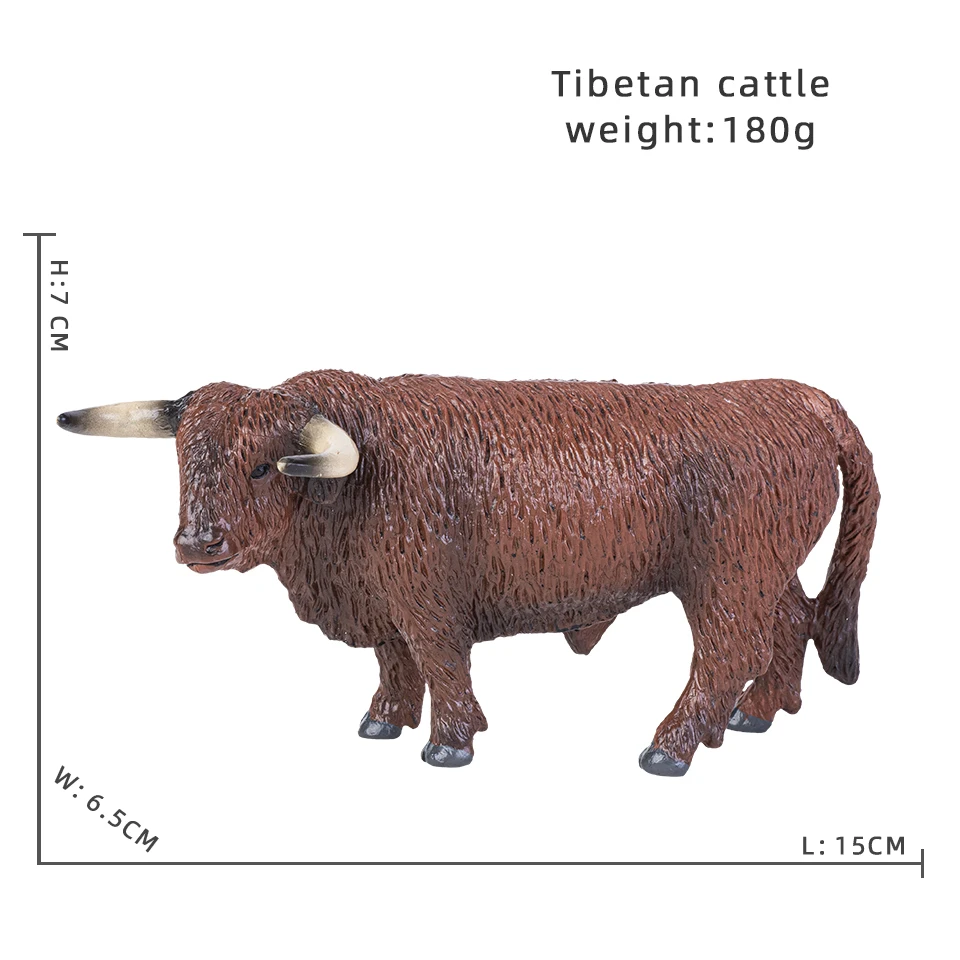 Tibetan cattle