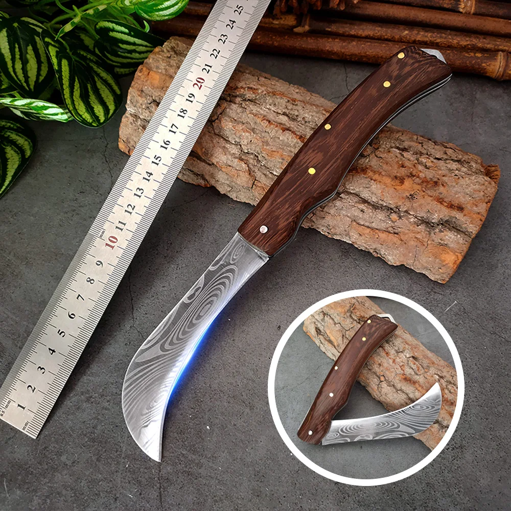 Knife, Damascus Professional Kitchen Knife, Fruit Knife, Stainless