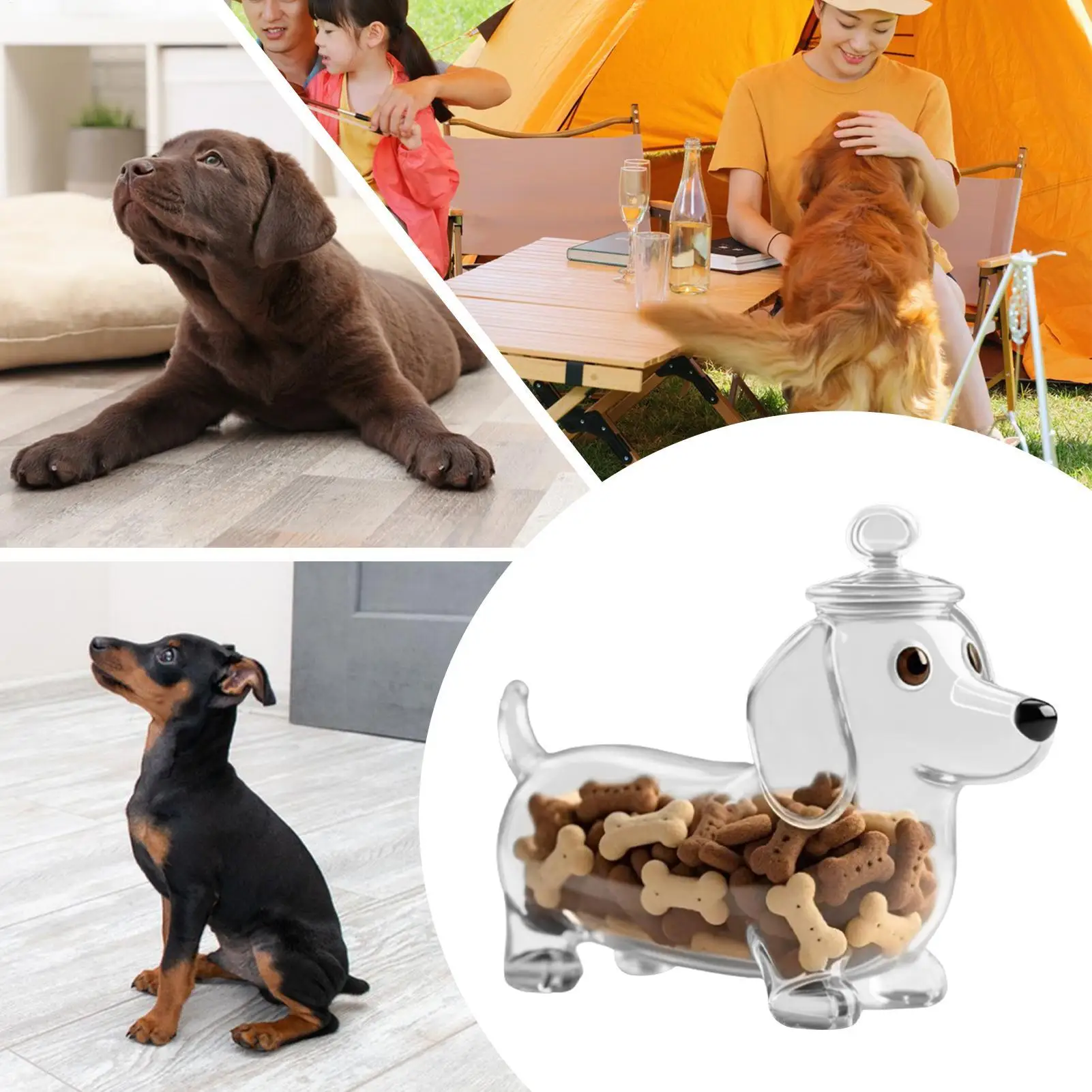 Alipis 2pcs Parrot Toilet Pan Bunny Cage Bottom Tray Bulgaria