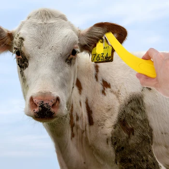 Ear Label Unloader Tag Removal Goat Tags Remover Cow Tagging Practice Sheep Tool 1