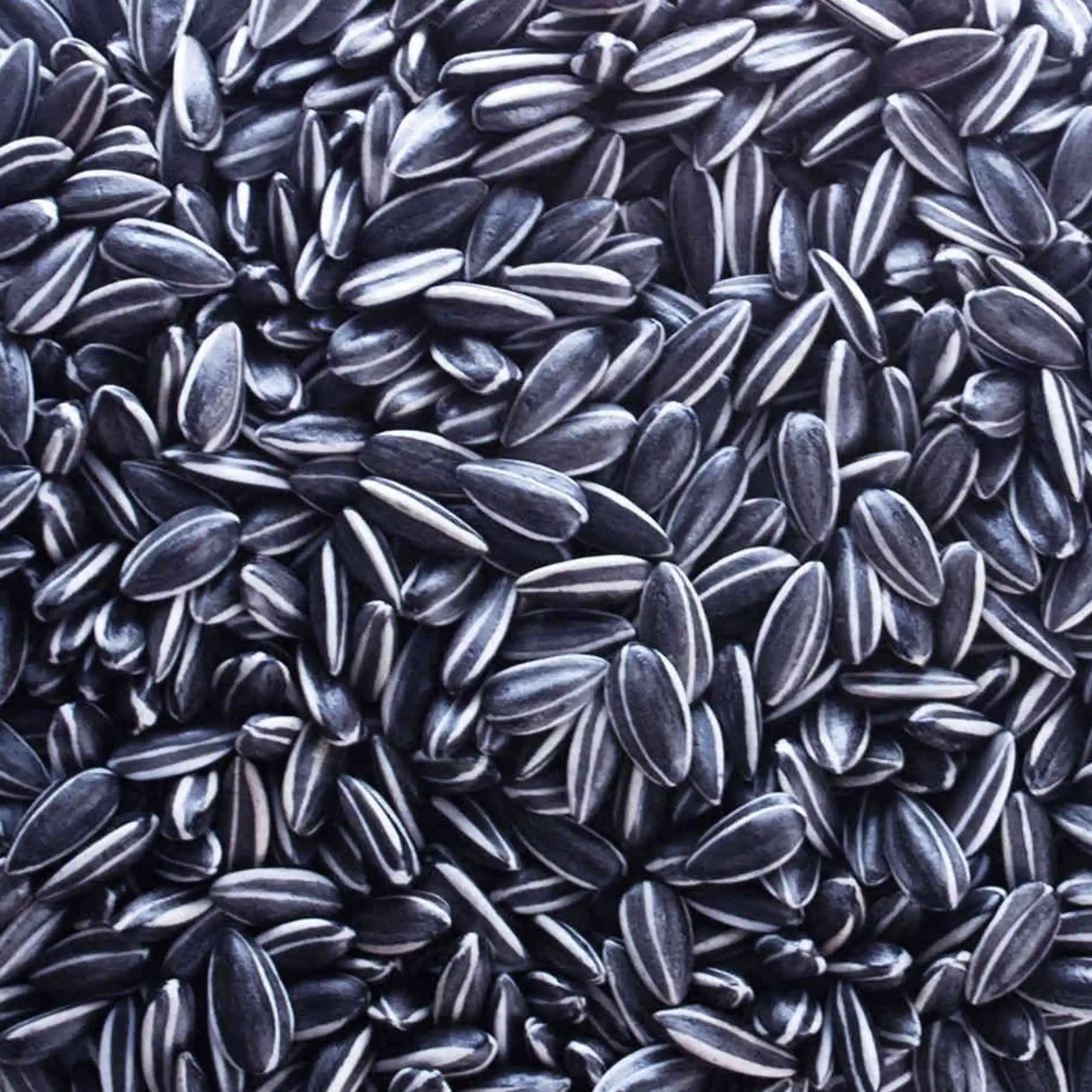 Lot Porcelain Simulation Sunflower Seeds Art Accessories Home Decor Party Gift
