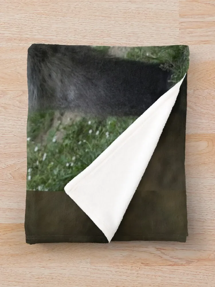 ġ�� ������ ���, �Ͽ��� ���� ���