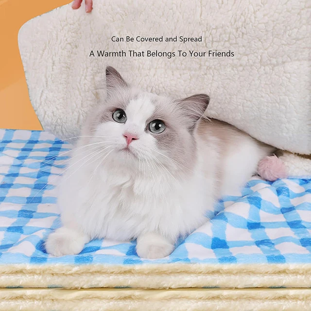 Soft Cat Blanket Warm Fluffy Plush Pet Sleeping Bed Mat for Cats Dogs Washable Thicken Plaid Lamb Down Cat Mat Pet Supplies 2