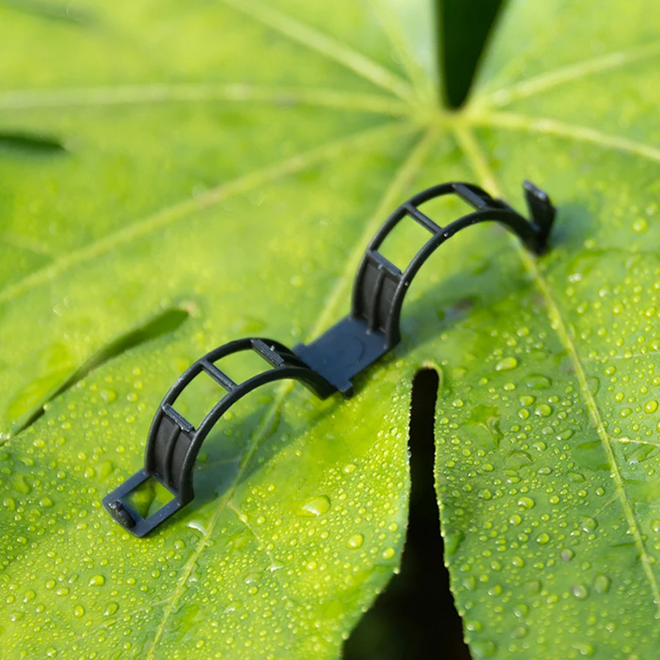 300 clip per piante di pomodoro, clip di supporto per piante, clip da giardinaggio in plastica, adatte per verdure, piante e pomodori - Bianco | Leroy Merlin