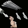 Bird Parrot Feeder Spoon, Baby Bird Milk Medicine Feeding Syringe with Soft Feeding Tubes, Baby Bird Feeding Tools Kit 1