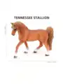 Tennessee Stallion