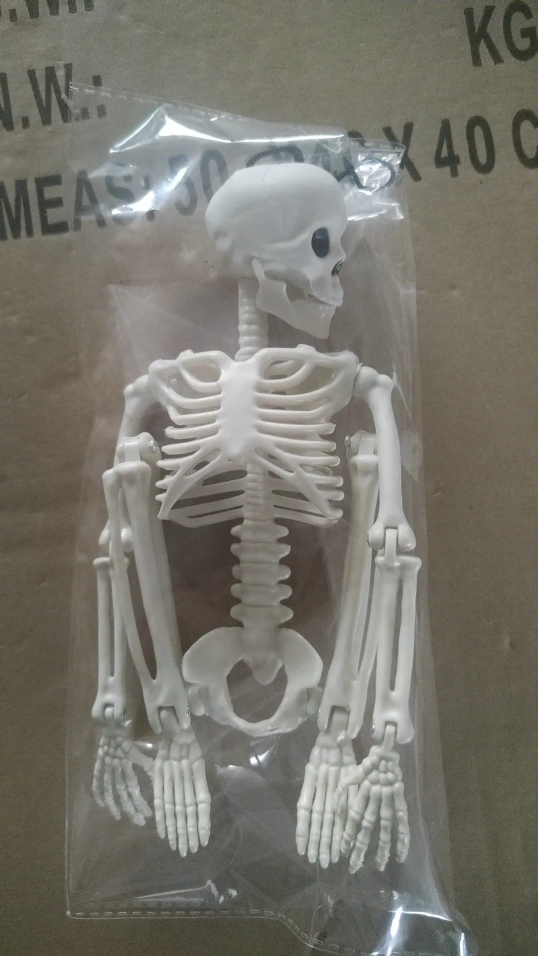 Large skeleton figure decor