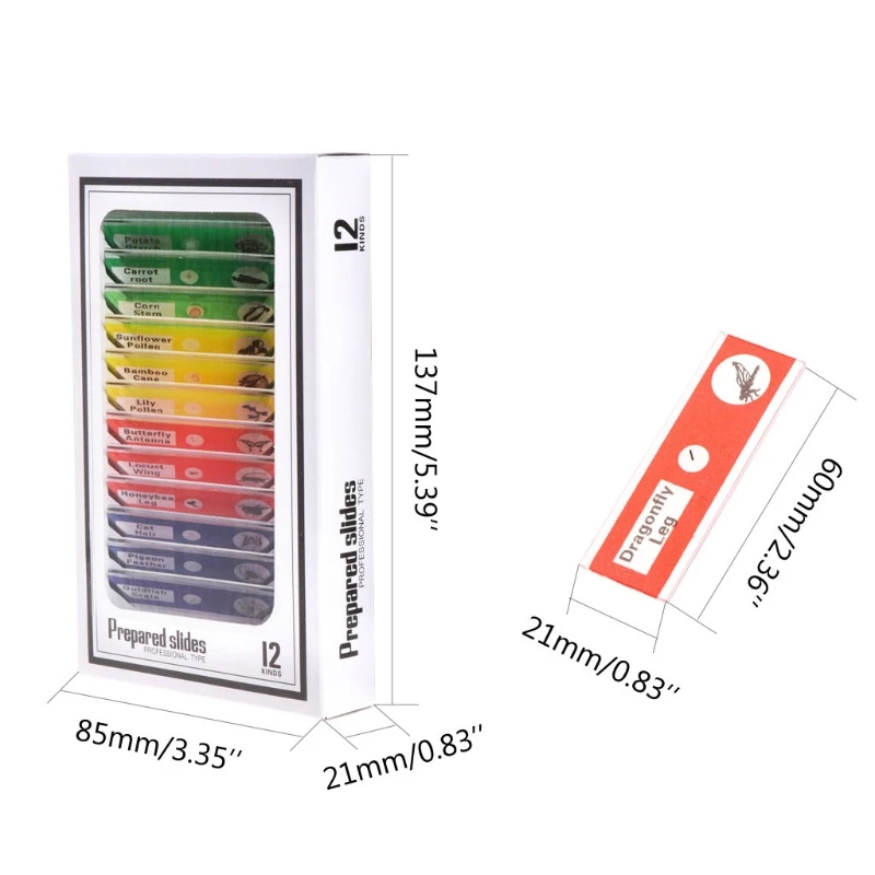 120 Pcs Kids Prepared Microscope Slides Animals Insects Plants Flowers Biological Specimens  For Student School Science 6