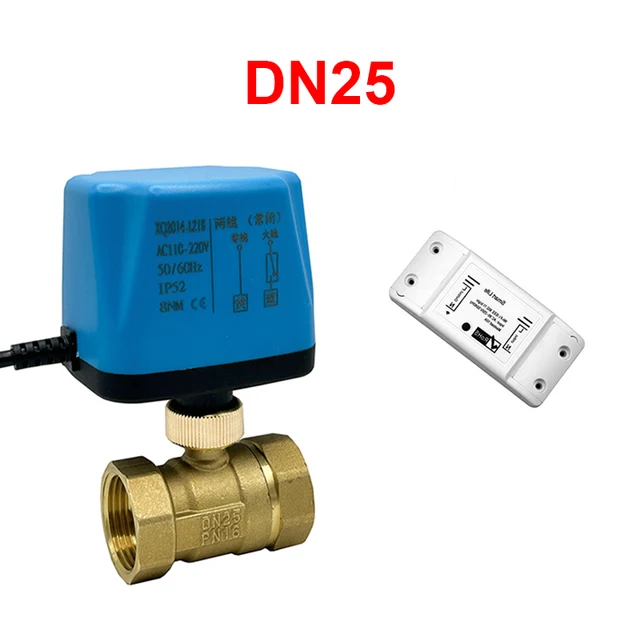 DN25