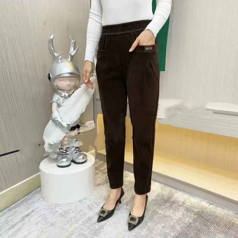2024 Women's Autumn New Combination Elastic High Waist Pocket Folds Fashion Solid Color Casual Versatile Western Harlan Pants