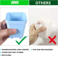 10PCS Gardening Mini Small Square Pot Flower Pot Succulent Pot Little Black Square Plastic Pot Seedling Tray Containe 5