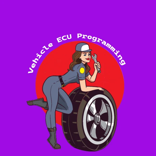 Vehicle ECU Programming Store