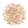 300/500/1000 Pieces Mini Wooden Clip Natural Wooden Clothespins DIY Decorative Log Color Hanging Photo Clips with Metal Spring 1