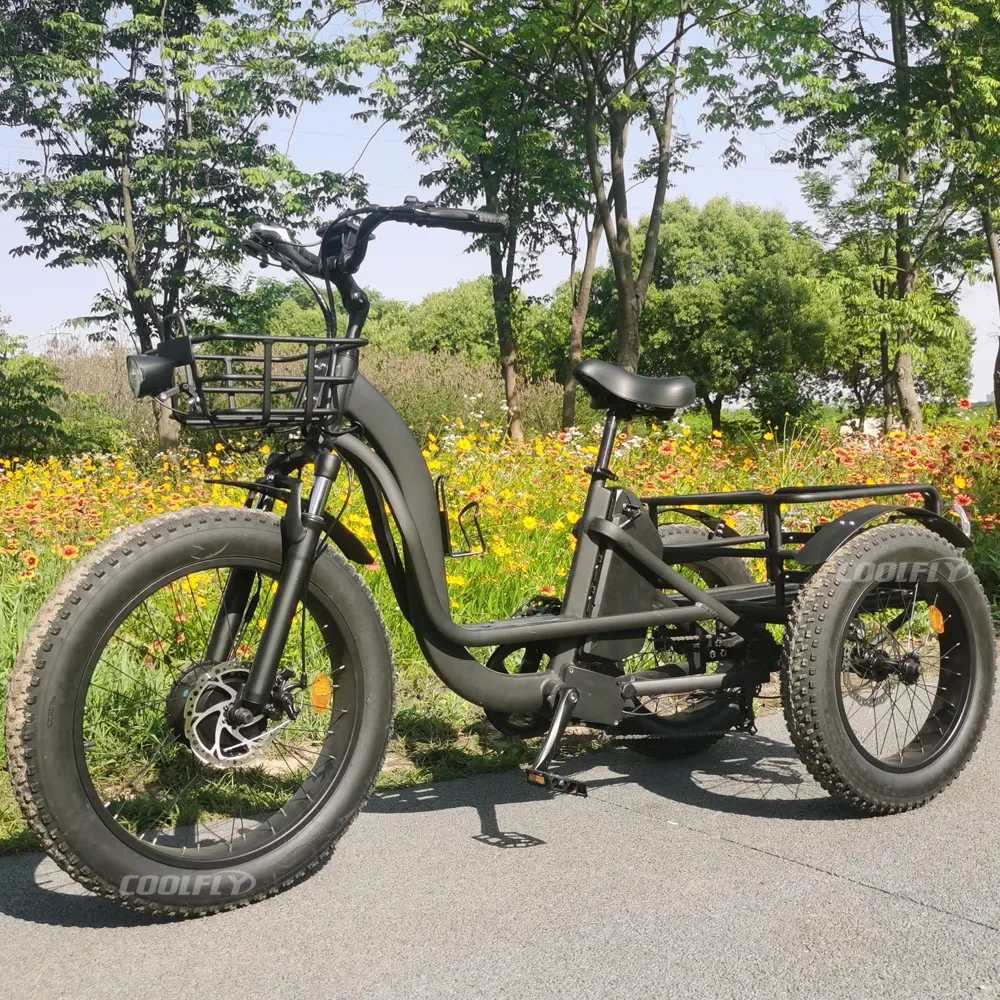 High Power Tricycles Family Cargo Lithium Battery Three Wheel Electric Bicycle 48v 750w 1000w e Bike for Sale