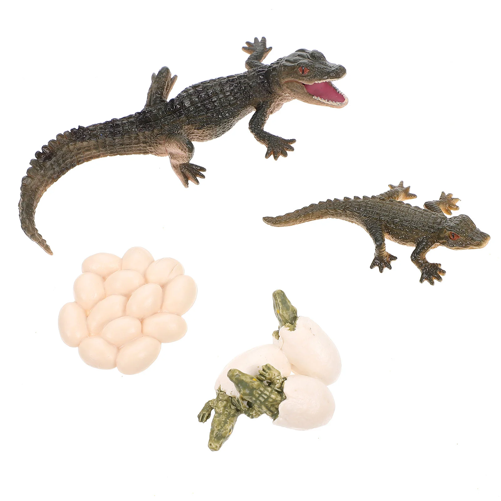 

Toy Alligators For Kids Growth Cycle Model Animals Figurine of Crocodile