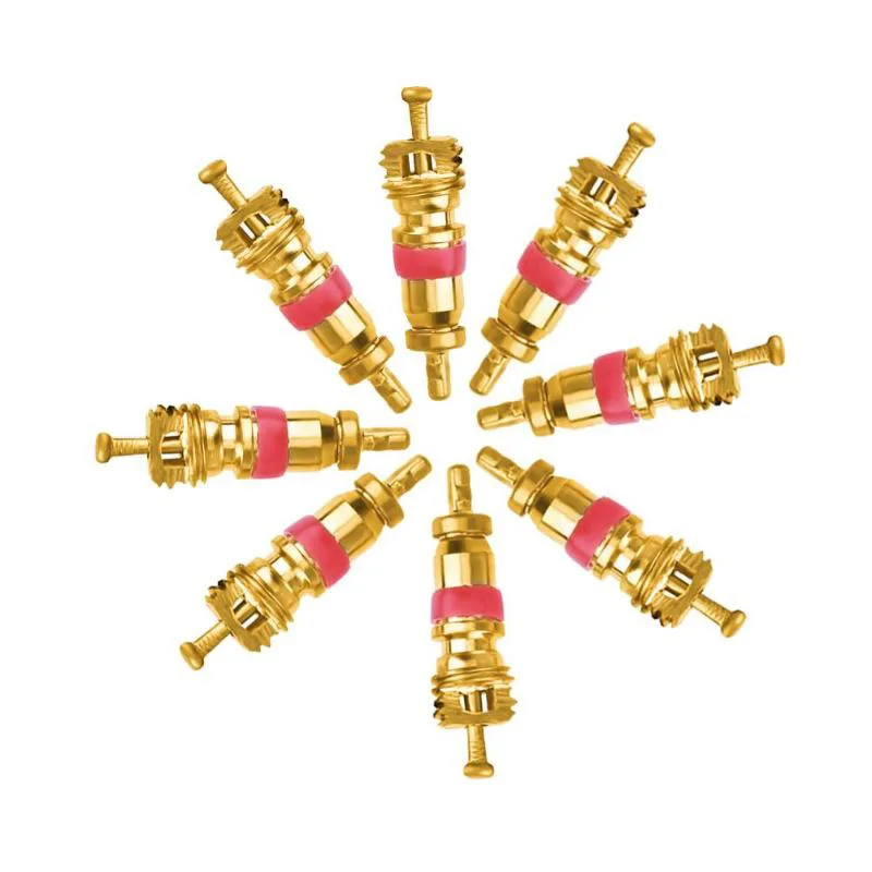 Valve Core Set